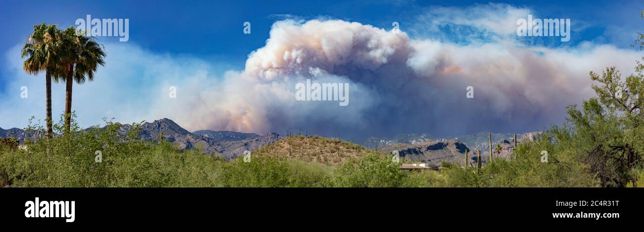 The Bighorn Fire, Catalina Foothills, Tucson, AZ 6-17-2020 Foto Stock