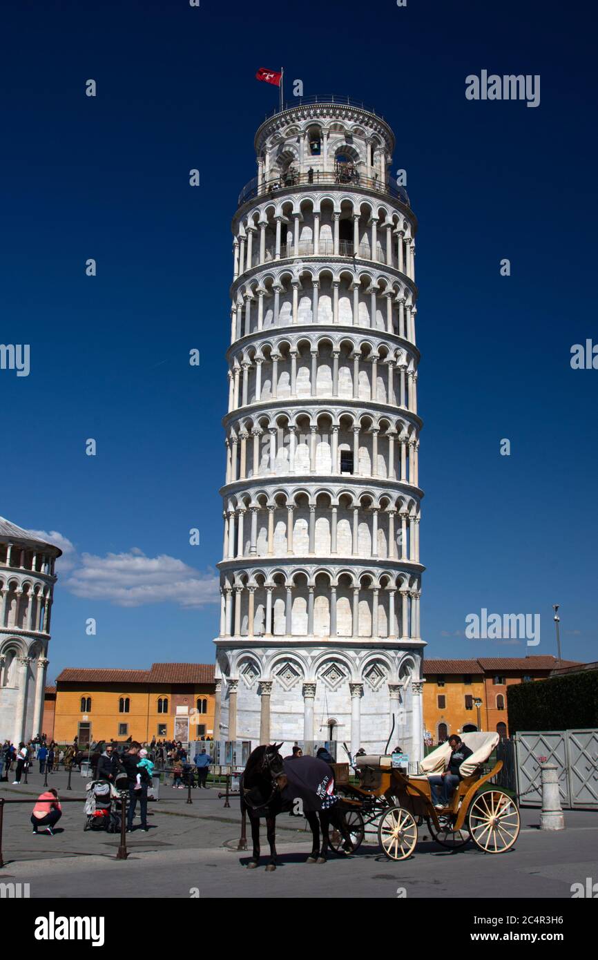 La Torre Pendente di Pisa, il campanile o il campanile della cattedrale di Pisa e sito patrimonio dell'umanità dell'UNESCO, Pisa, Toscana, Italia Foto Stock