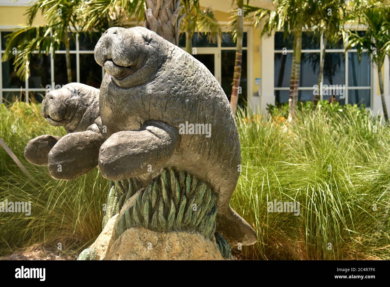 Statua del lamantino al Manatee Lagoon Discovery Center, West Palm Beach, Florida, USA Foto Stock