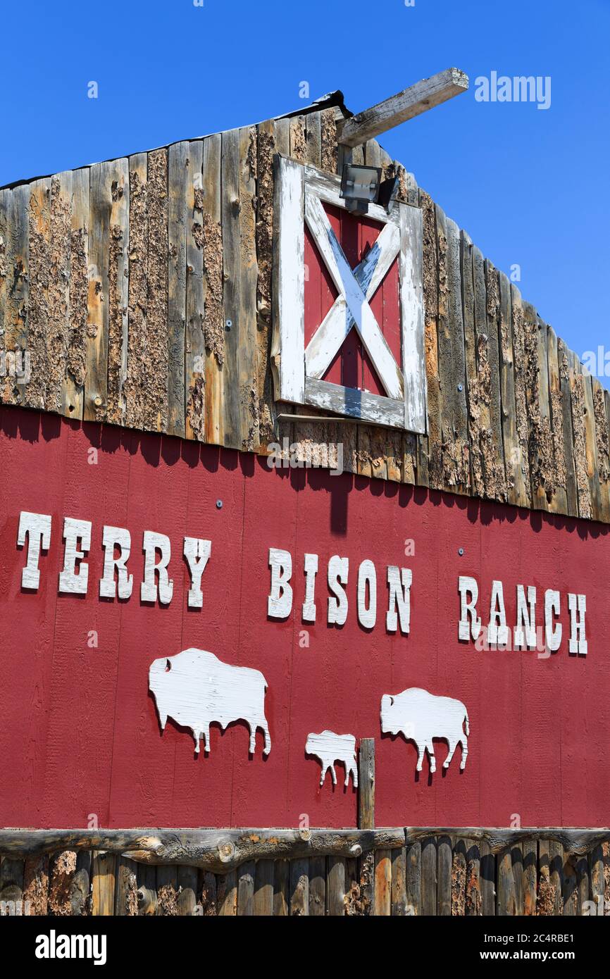 Fienile al Terry Bison Ranch, Cheyenne, Wyoming, Stati Uniti Foto Stock