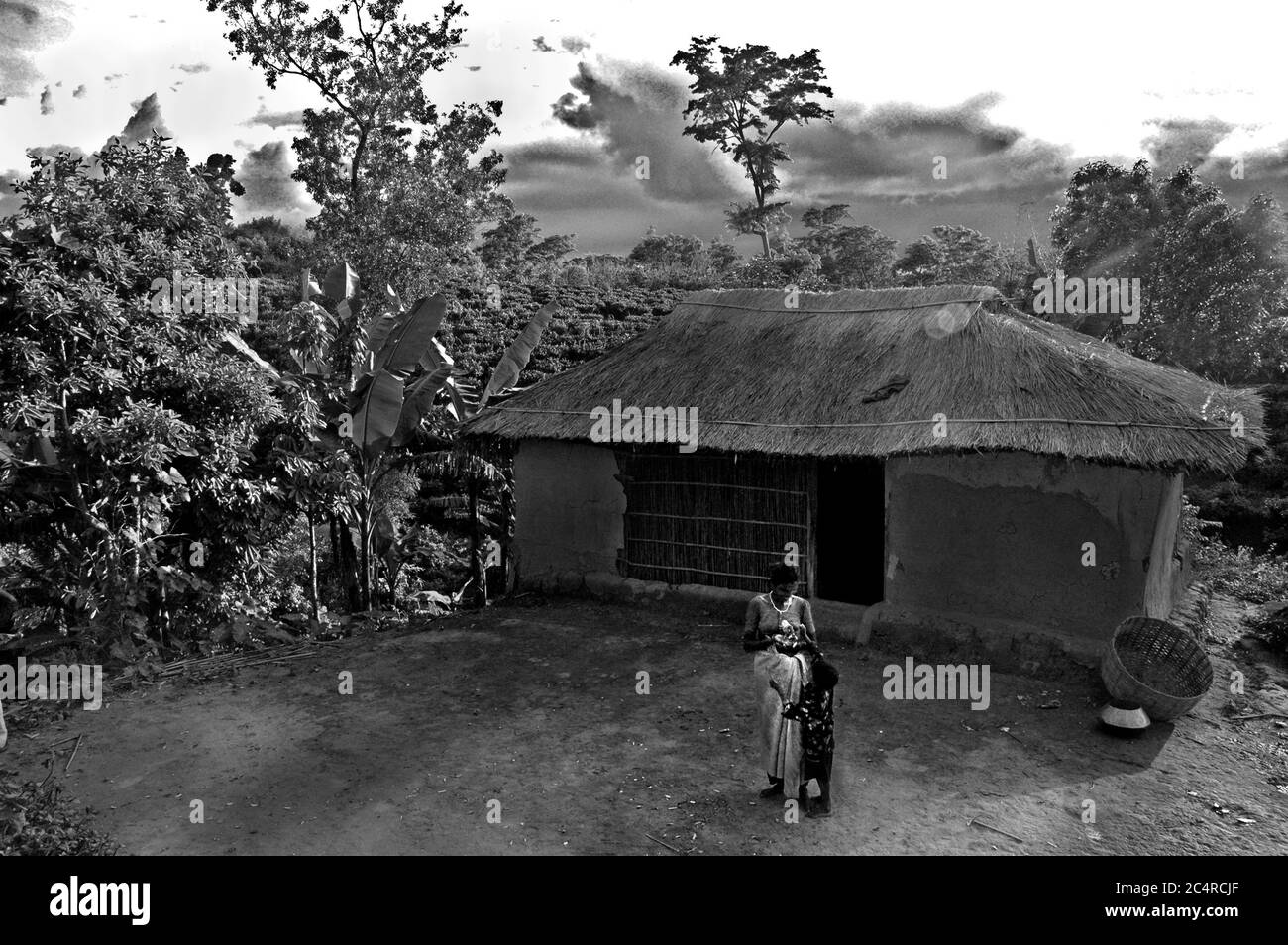 Champa è con il suo animale preferito, l'uccello di Mynah, nel cortile adiacente alla sua casa. Circondato da suo figlio, le colline piovose e il cielo sopra il Giardino Kapai di Lashkarpur Estate, sembra Shangri-la. Foto Stock