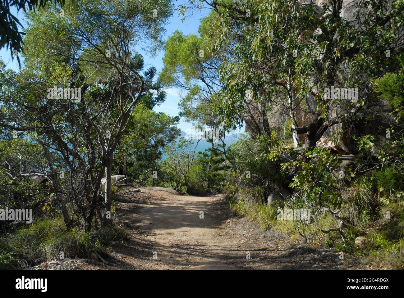 Sentiero escursionistico vicino alla cima dei forti camminare con la terraferma sul lontano orizzonte, Magnetic Island, Queensland, Australia Foto Stock