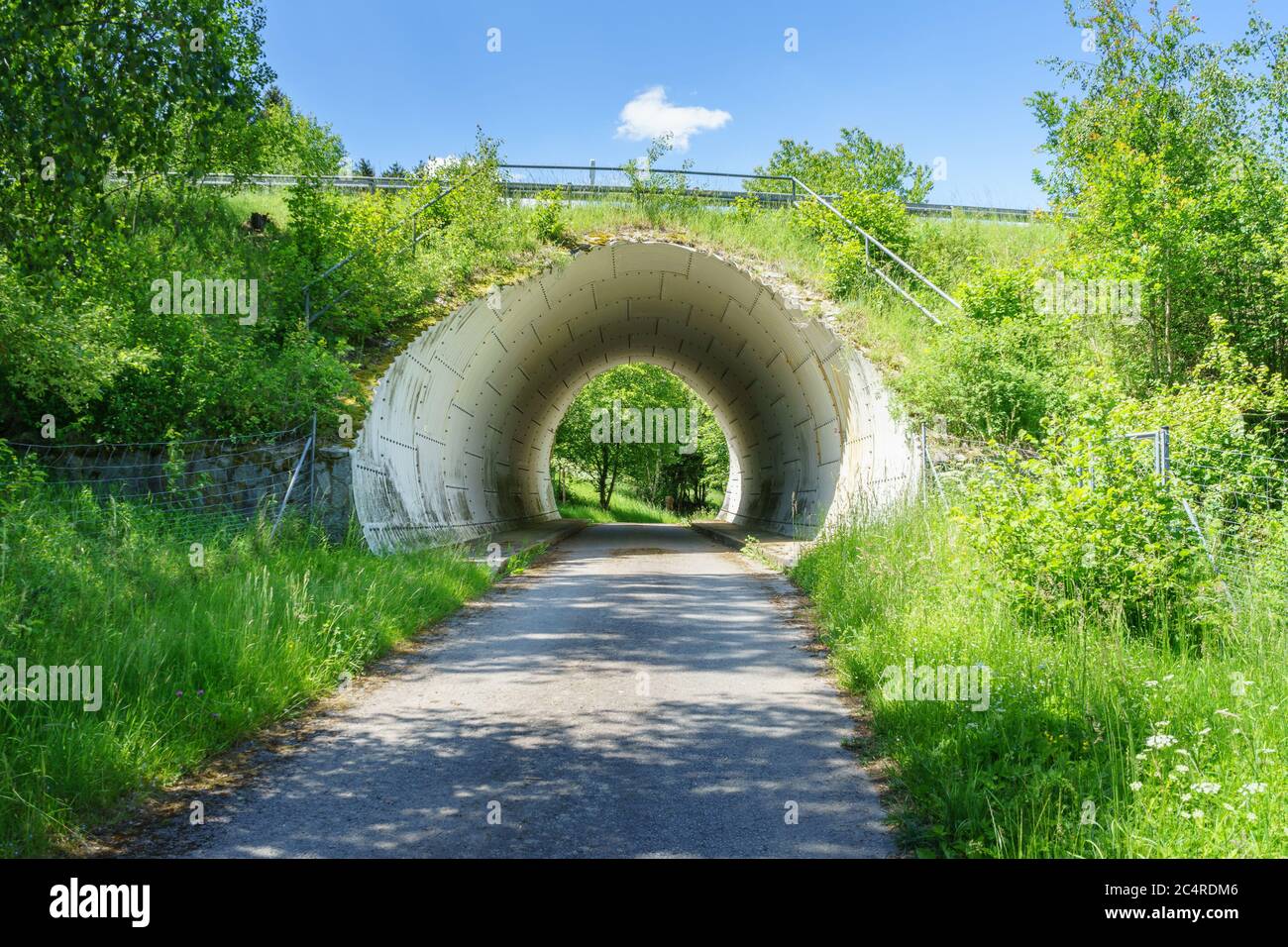 Escursione attraverso prati, ponti e sentieri vicino a Stallwang nella bassa Baviera Germania Foto Stock