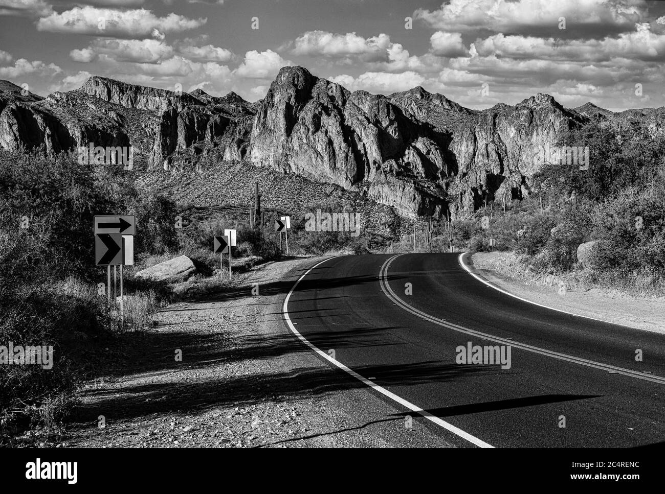 Una vista del deserto di sonora vicino Phoenix, Arizona. Foto Stock