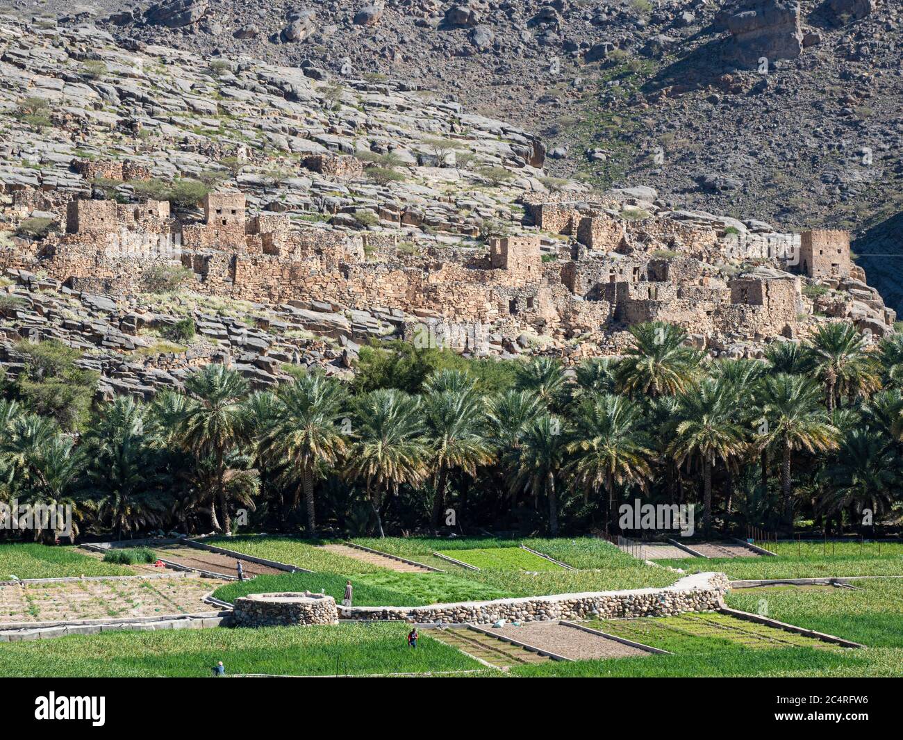 Wadi Ghul, un villaggio abbandonato, situato a nord-ovest di al Hamra, Sultanato dell'Oman. Foto Stock