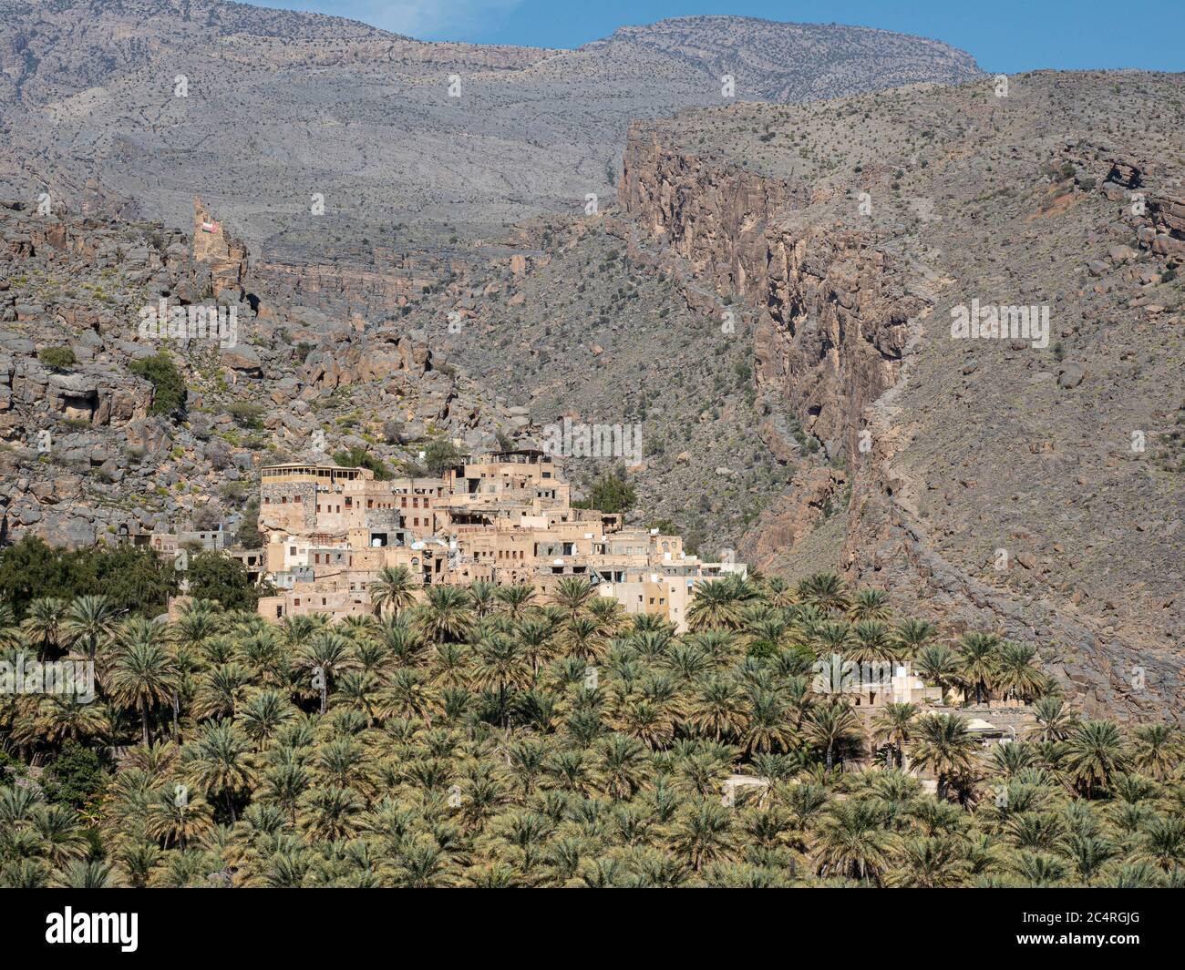 Le palme da dattero circondano il vecchio villaggio di al Misfah, Sultanato dell'Oman. Foto Stock