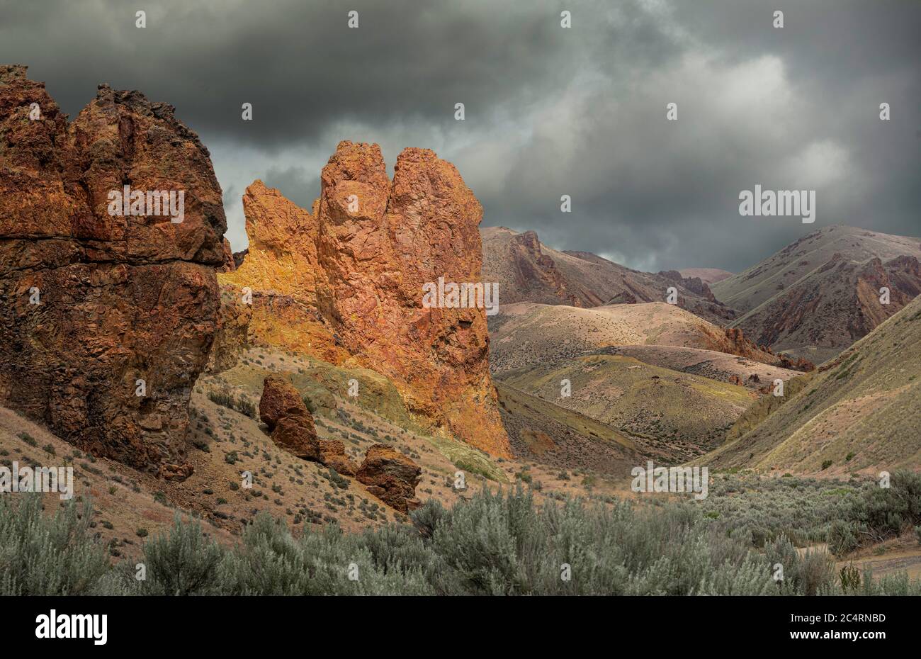 Formazioni rocciose di tufo a Leslie Gulch, Owyhees, Oregon orientale Foto Stock