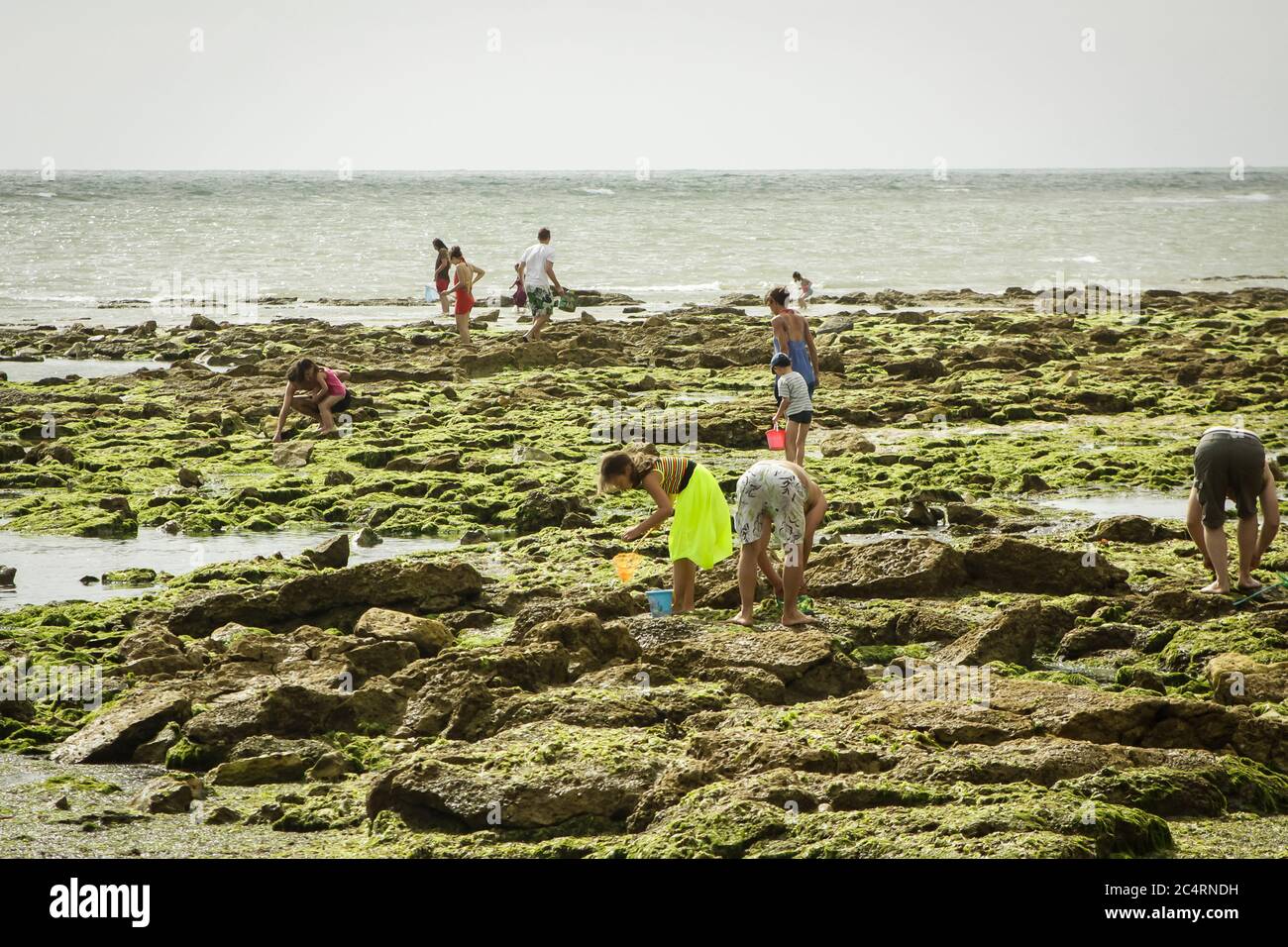 Peche un pied o pesca a piedi per molluschi quando la marea è fuori su Ile de Oleron, un'isola al largo della costa occidentale della Francia Foto Stock
