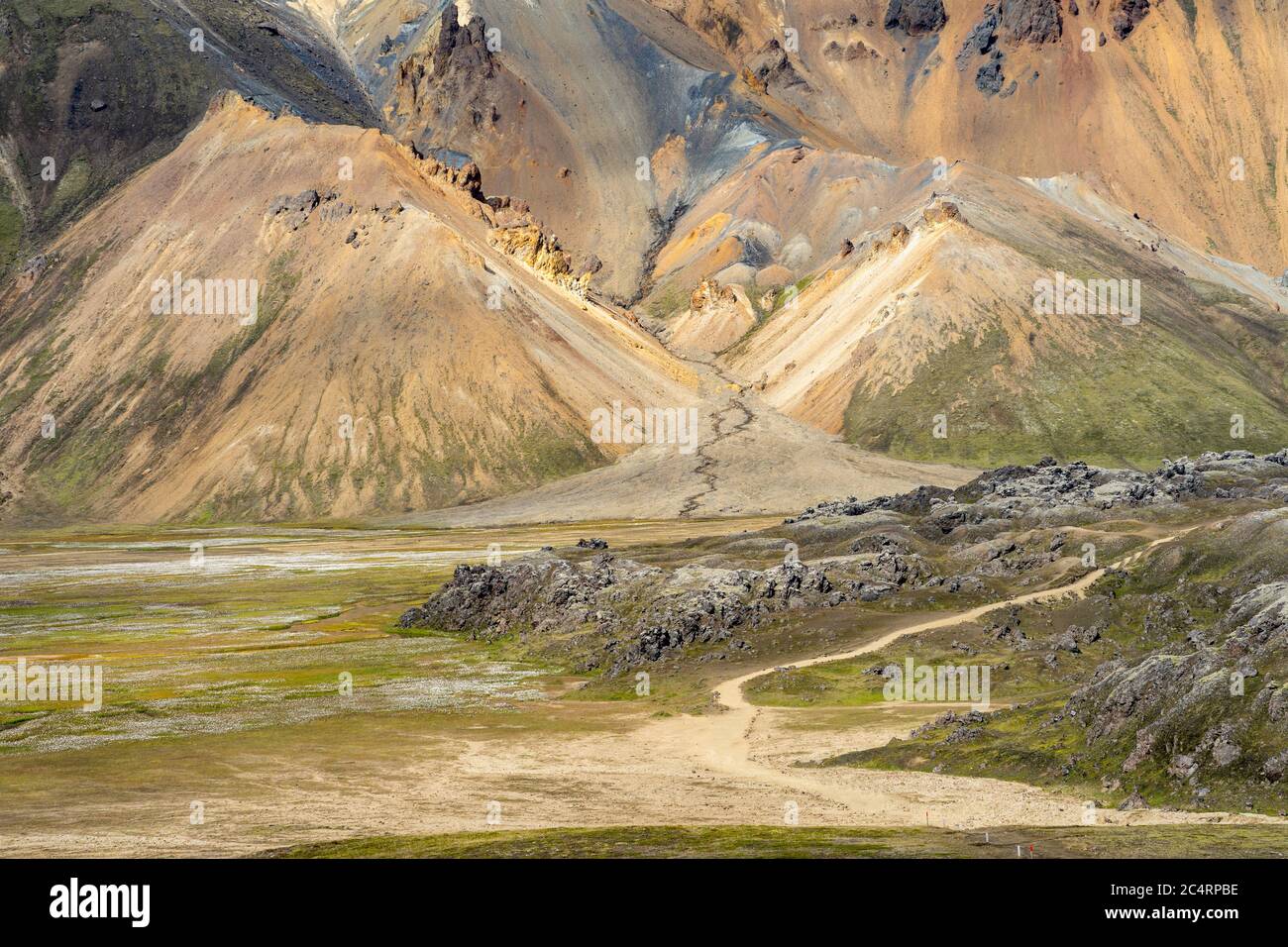 Verdi colline vulcaniche e sentieri negli altopiani islandesi Foto Stock