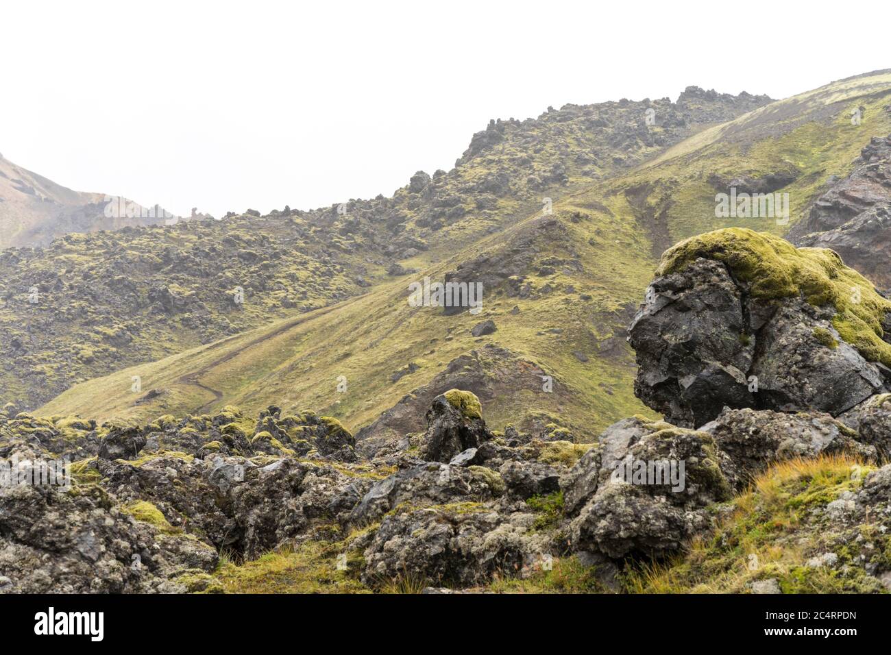 La roccia lavica nera ricoperta di muschio appare come un gigante testa Foto Stock