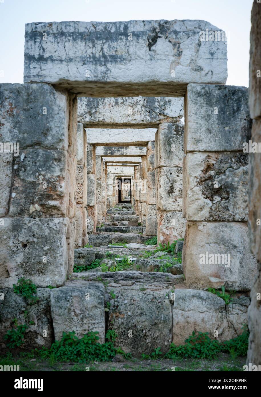 Allineamento di portici in pietra intorno all'arena di corsa su Tire-Sour, un antico parco archeologico romano nel Libano meridionale, Medio Oriente Foto Stock