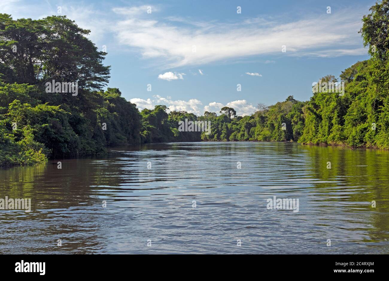 Alberi tropicali e il fiume tropicale della foresta pluviale di Tele Pires vicino alta Floresta, Brasile Foto Stock