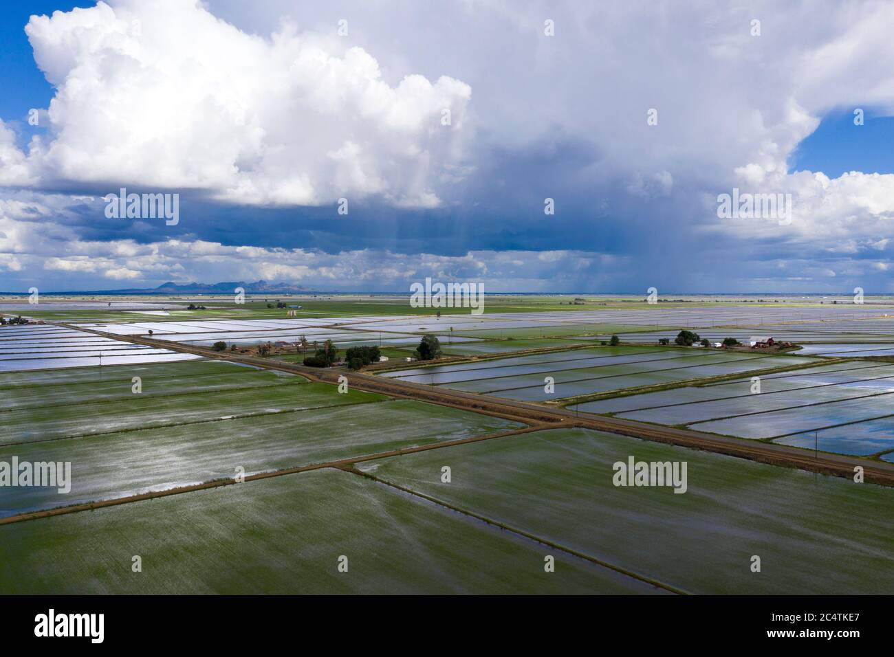 Vista aerea dei campi di riso allagati in primavera nella contea di Colusa, California, vicino a Maxwell Foto Stock