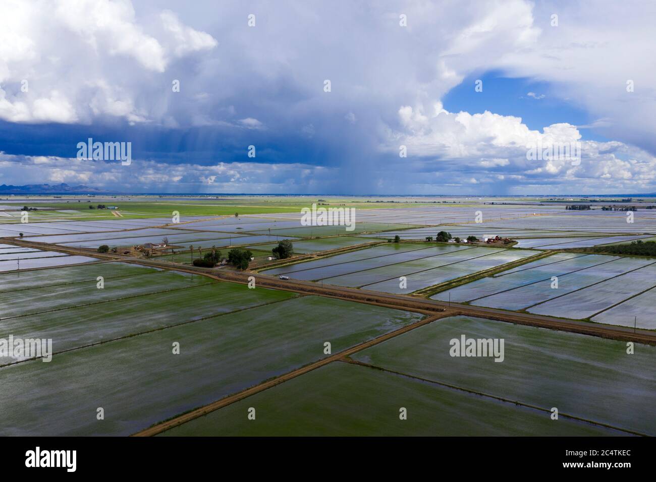 Vista aerea dei campi di riso allagati in primavera nella contea di Colusa, California, vicino a Maxwell Foto Stock
