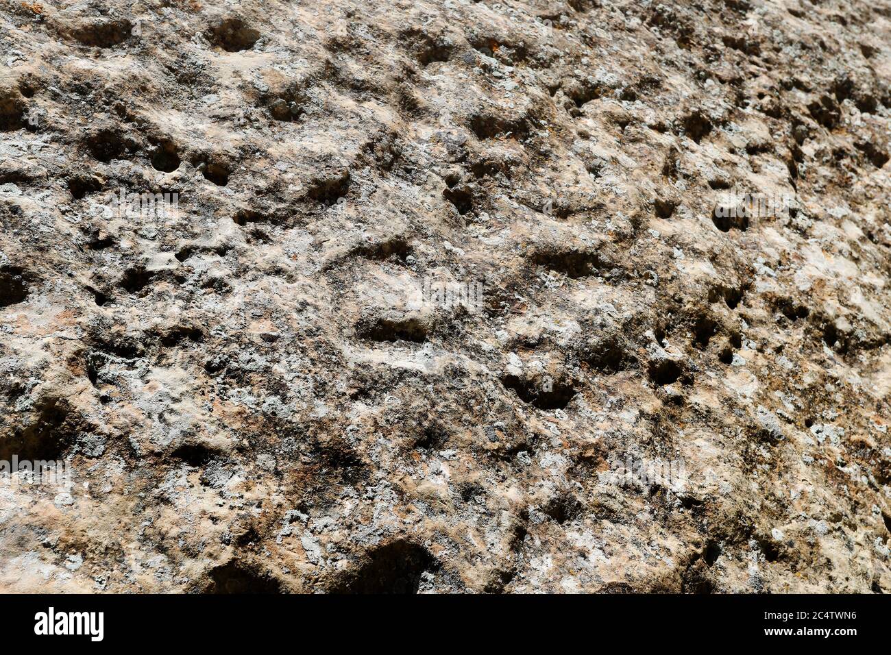 Sabbia pietrificata e fango con licheni deserto dello Utah 1377. Deserto deserto deserto profondo secco valle canyon dove antico fiume fluiva. Foto Stock