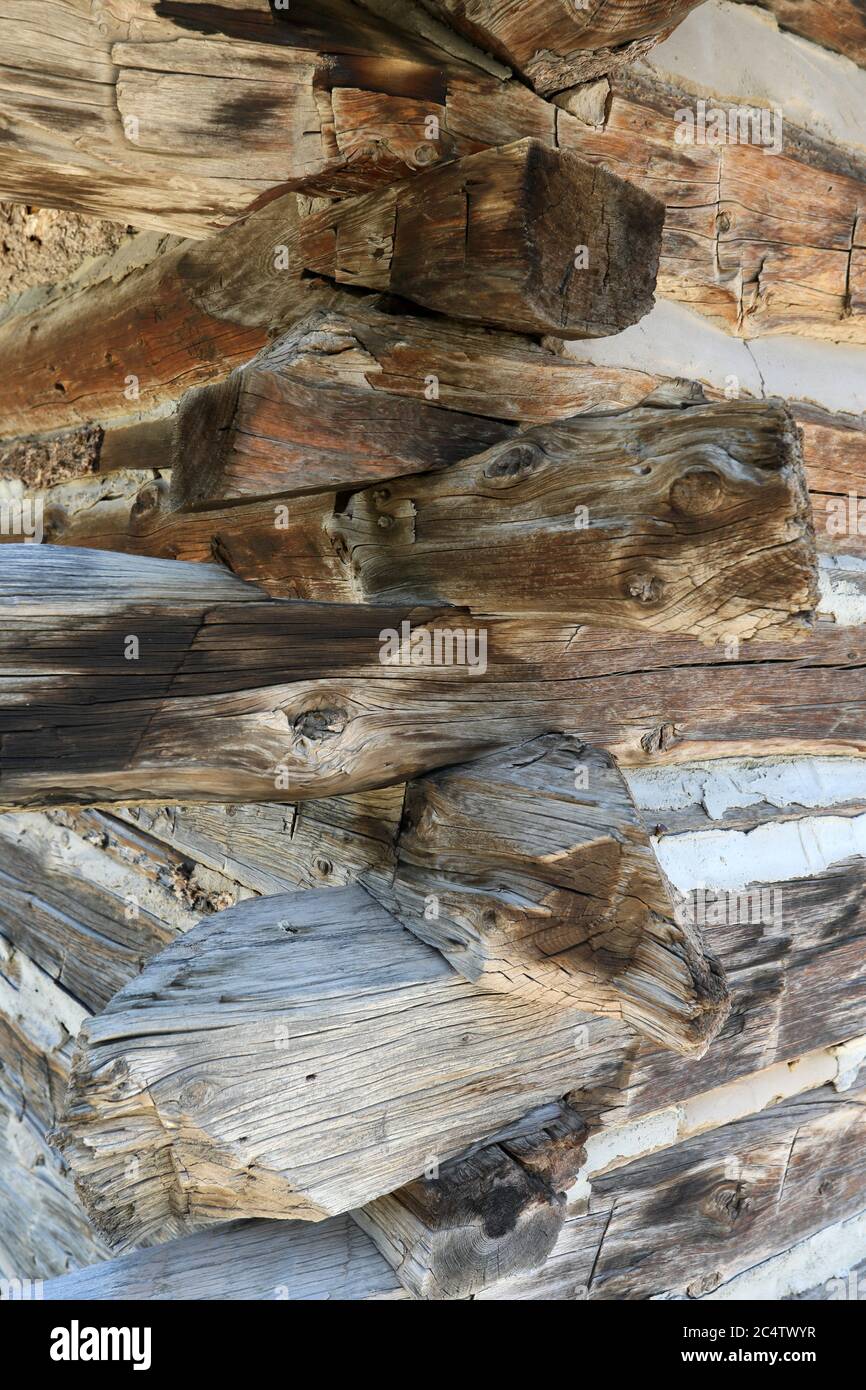 Vecchia costruzione storica di un angolo di capanna in legno Utah 1363. Pioniere colonnello selvaggio valle di montagna. Casa di famiglia sul ranch e fattoria. Foto Stock