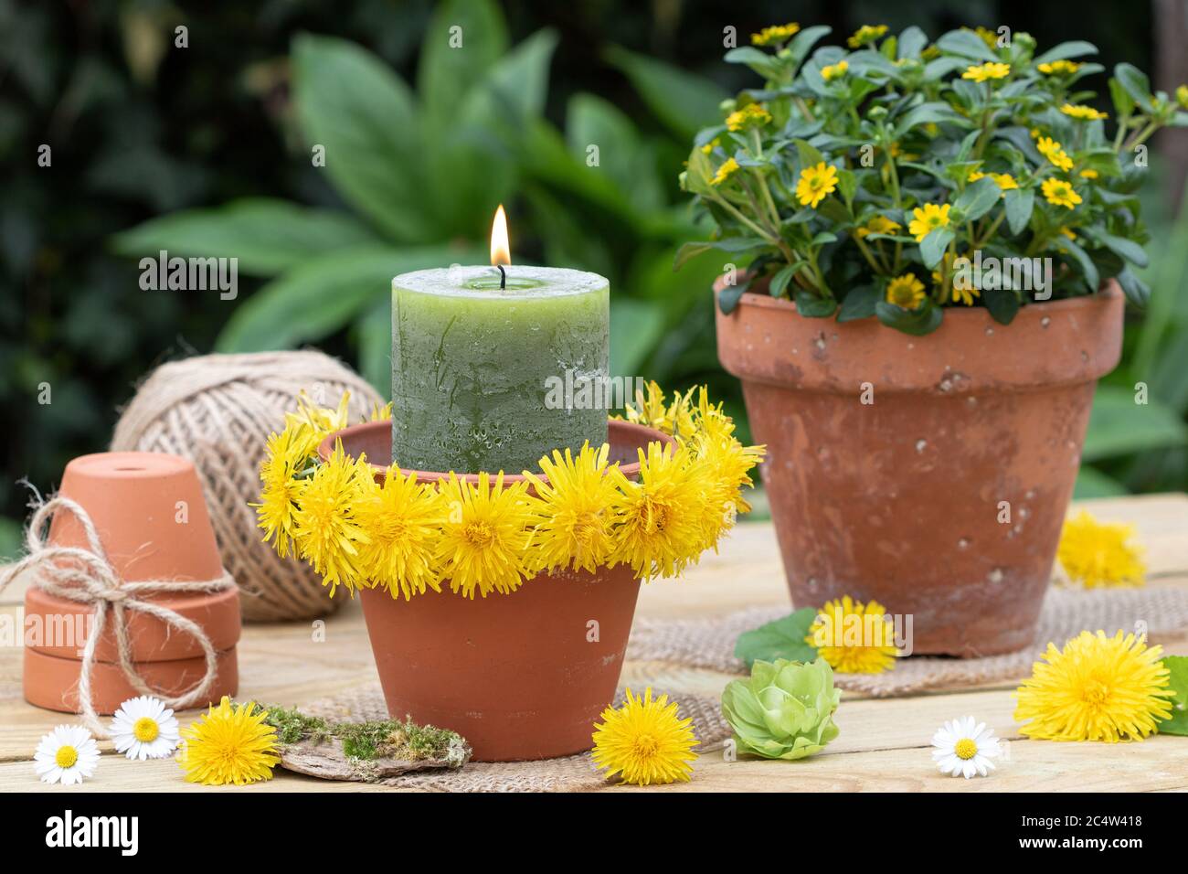 decorazioni rustiche in giardino con fiori di candela e dente di leone Foto Stock