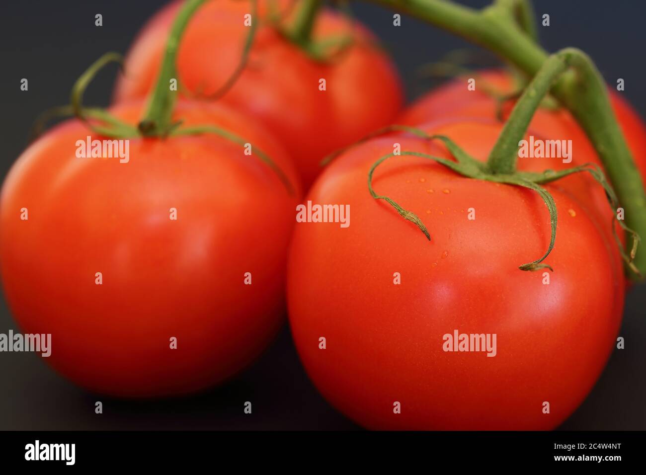 Pomodori freschi e succosi eco bio biologici con ramoscello macro isolato su fondo nero. Foto Stock