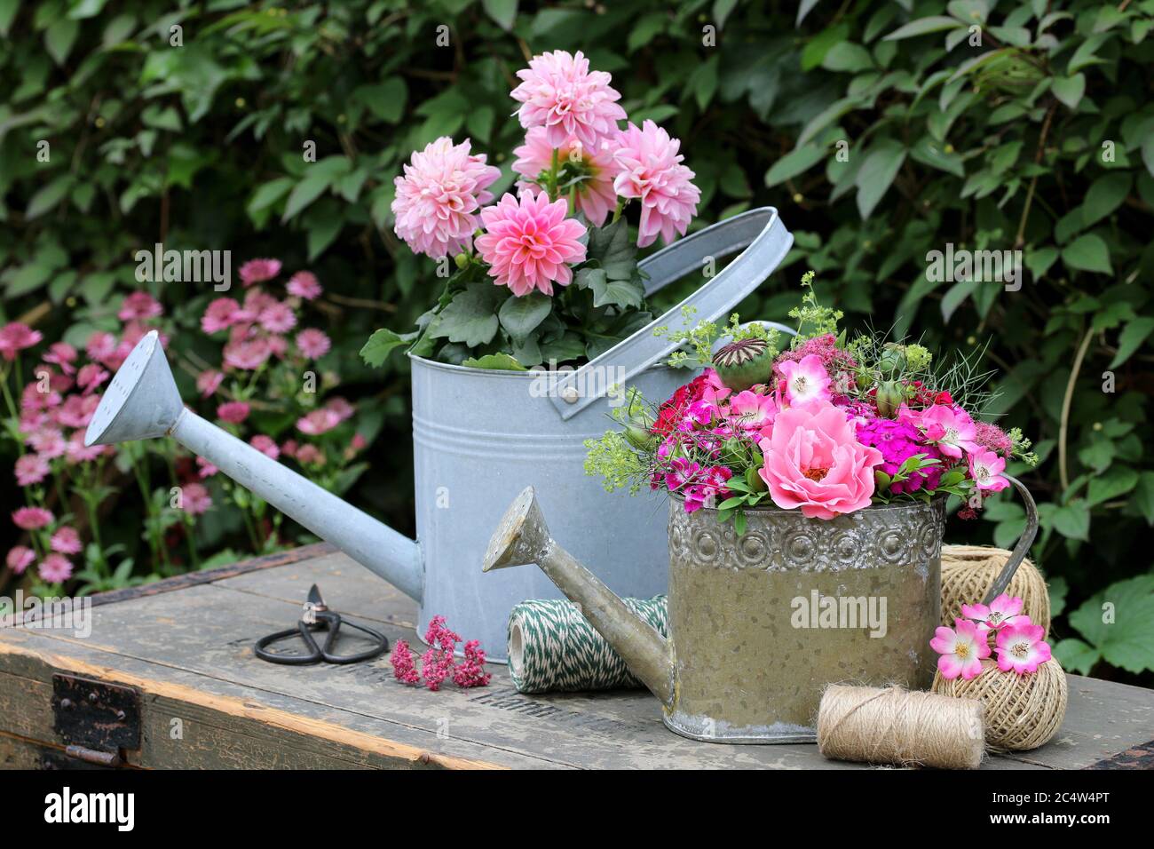 decorazione giardino estivo con fiori in rosa in lattina annaffiatura Foto Stock