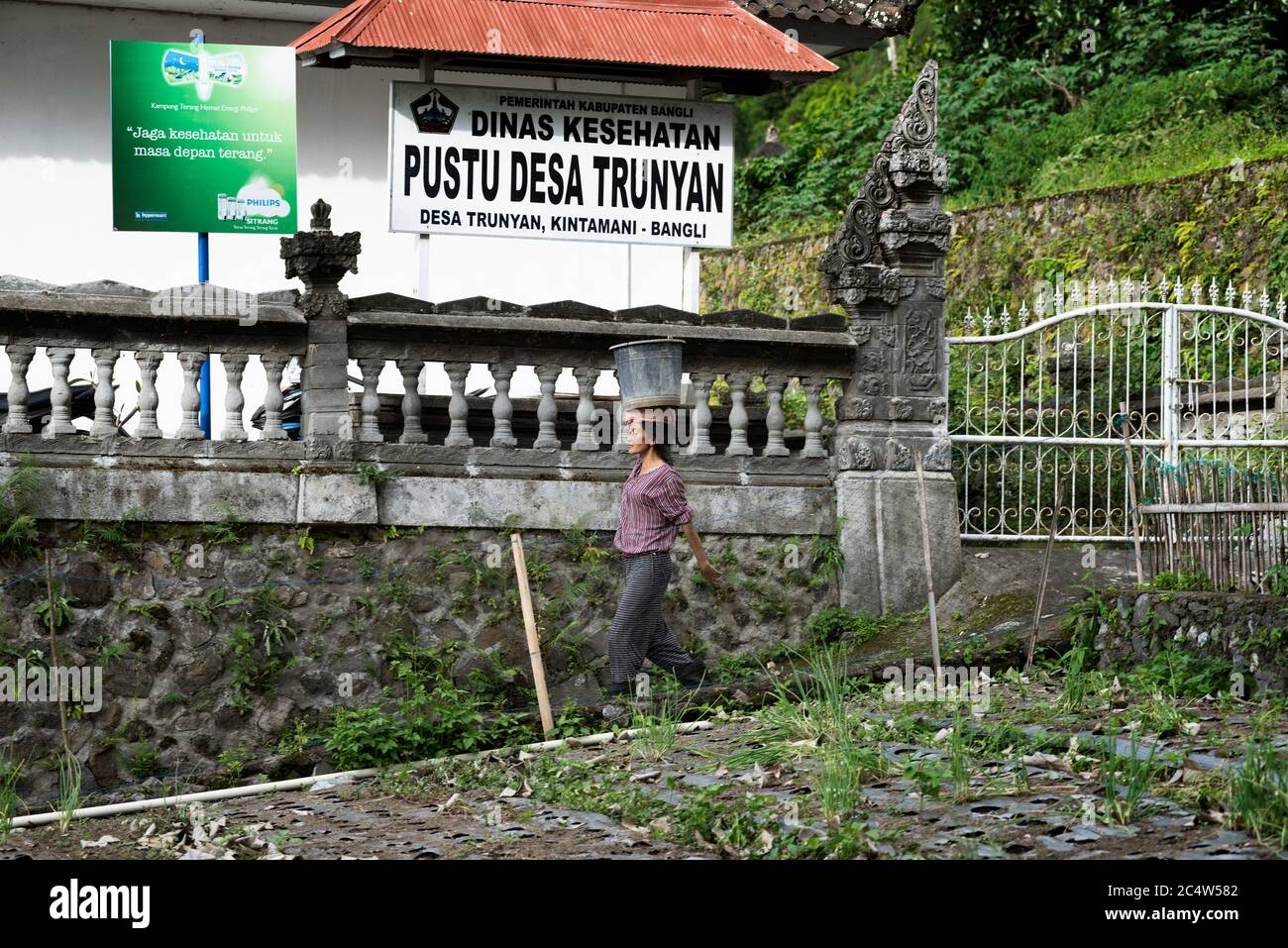 Trynian, Bali, Indonesia - 11 gennaio 2014: Donna balinese che trasporta il secchio grande sulla testa Foto Stock