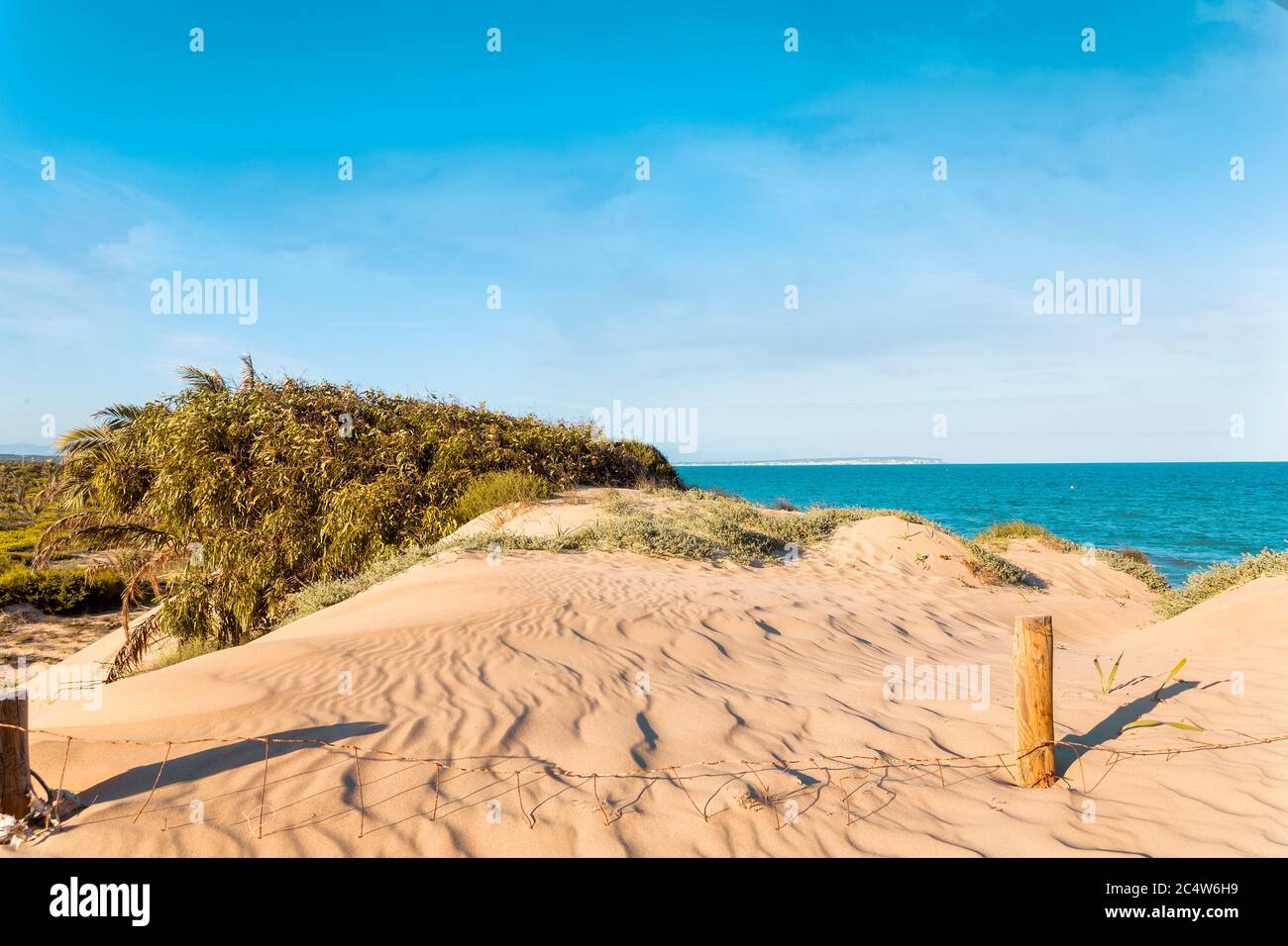 vista delle dune di sabbia con vegetazione per evitare spostamenti e mar mediterraneo Foto Stock