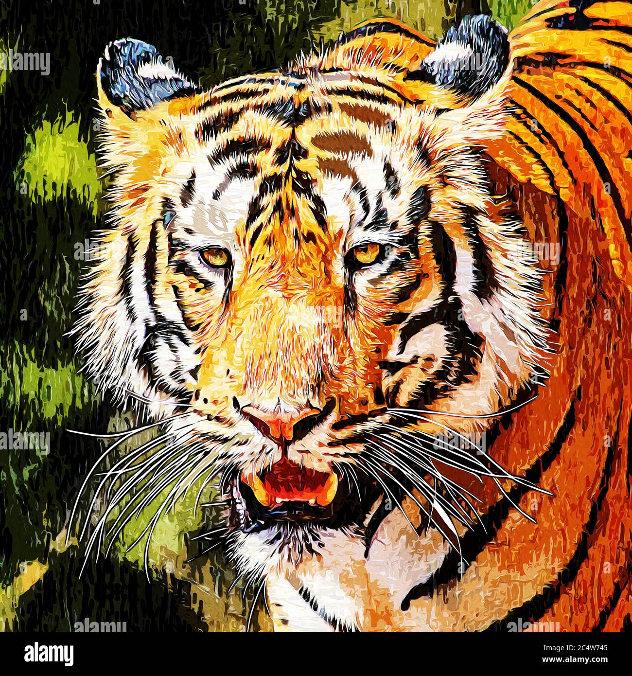 Tigre selvaggia Foto Stock