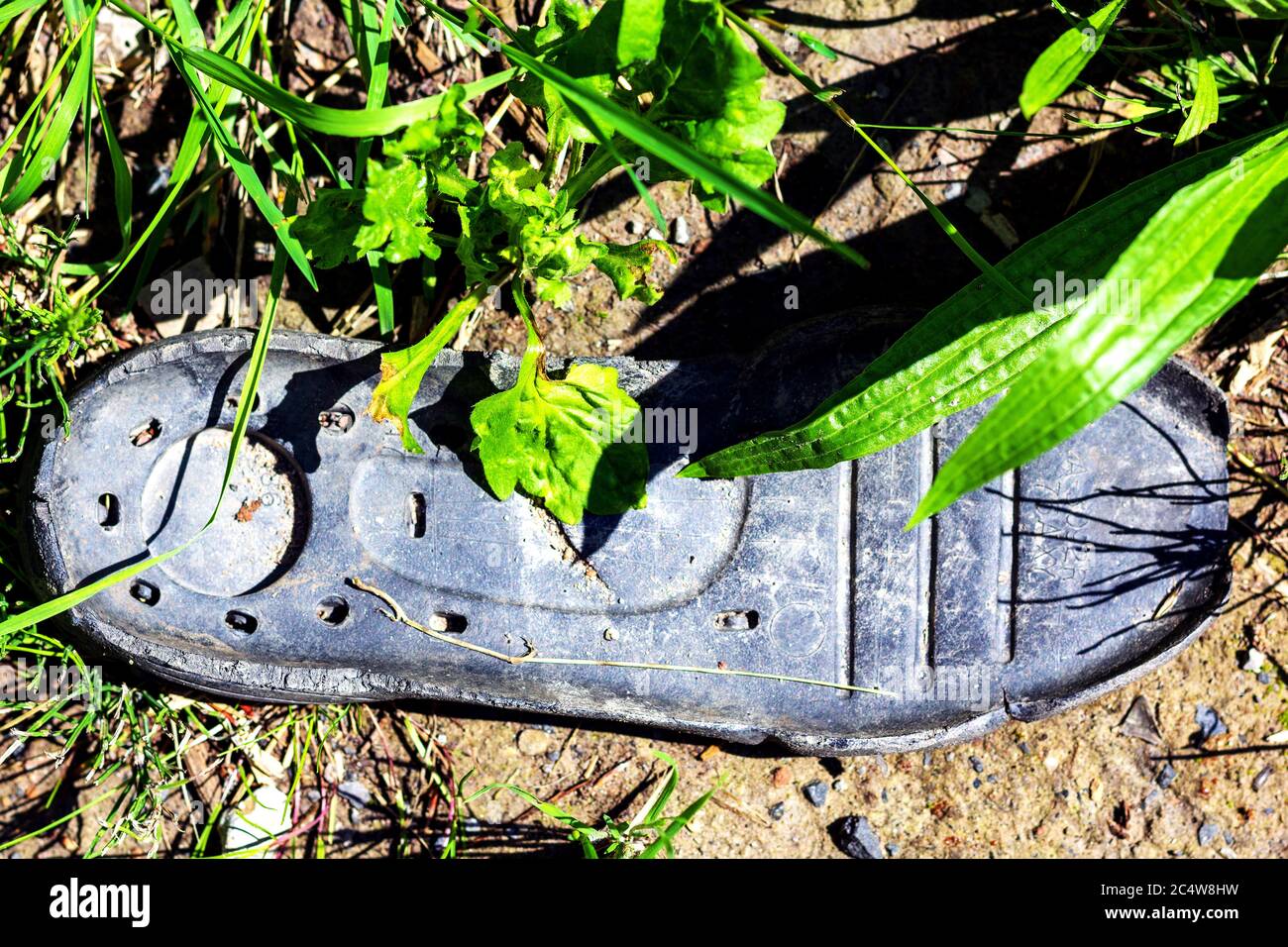 strappato via la suola di gomma di una scarpa nel prato sul lato della strada Foto Stock