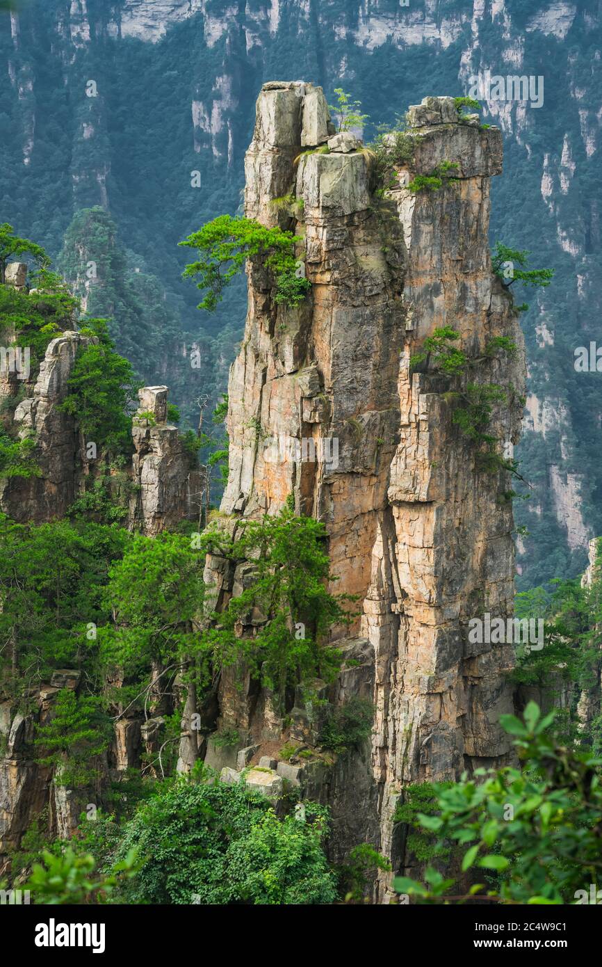 Stupende colonne rocciose della catena montuosa dei tianzi, Avatar montagne parco naturale, Zhangjiajie, Cina Foto Stock