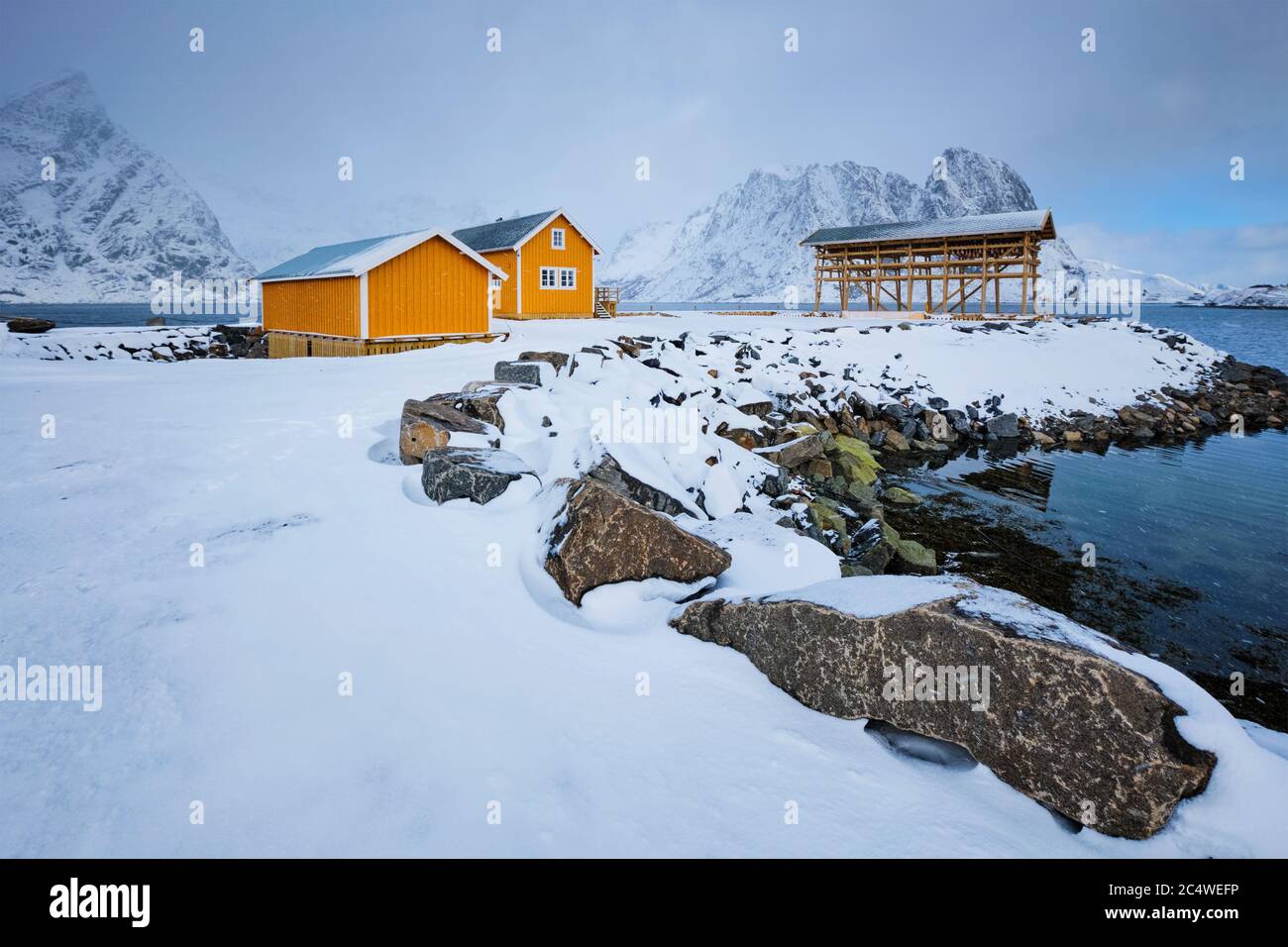Rorbu house e scaglie di essiccazione per stoccafisso baccalà in inverno. Isole Lofoten in Norvegia Foto Stock