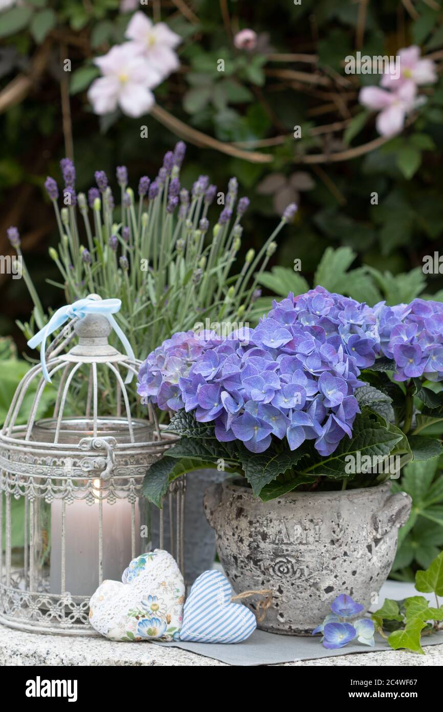 decorazione vintage con fiori di idrangea in blu, candela e gabbia di uccello Foto Stock