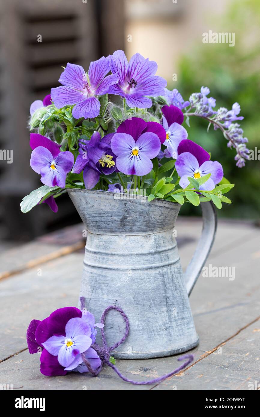 bouquet di fiori di viola in caraffa vintage Foto Stock