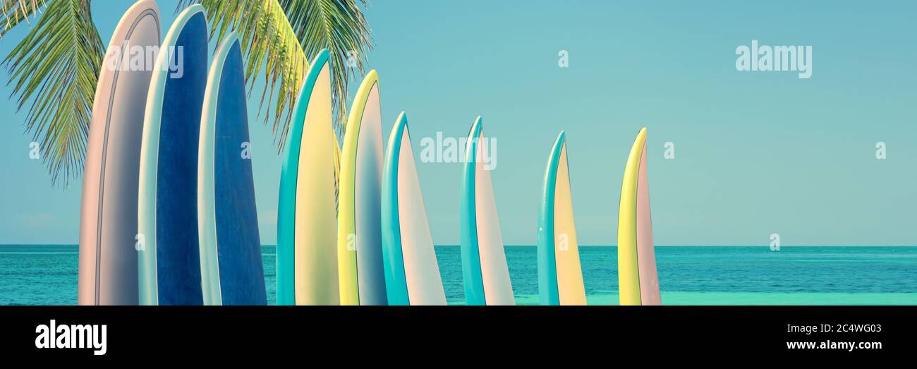 Panorama di tavole da surf colorate d'epoca su una spiaggia tropicale vicino all'oceano con palme Foto Stock