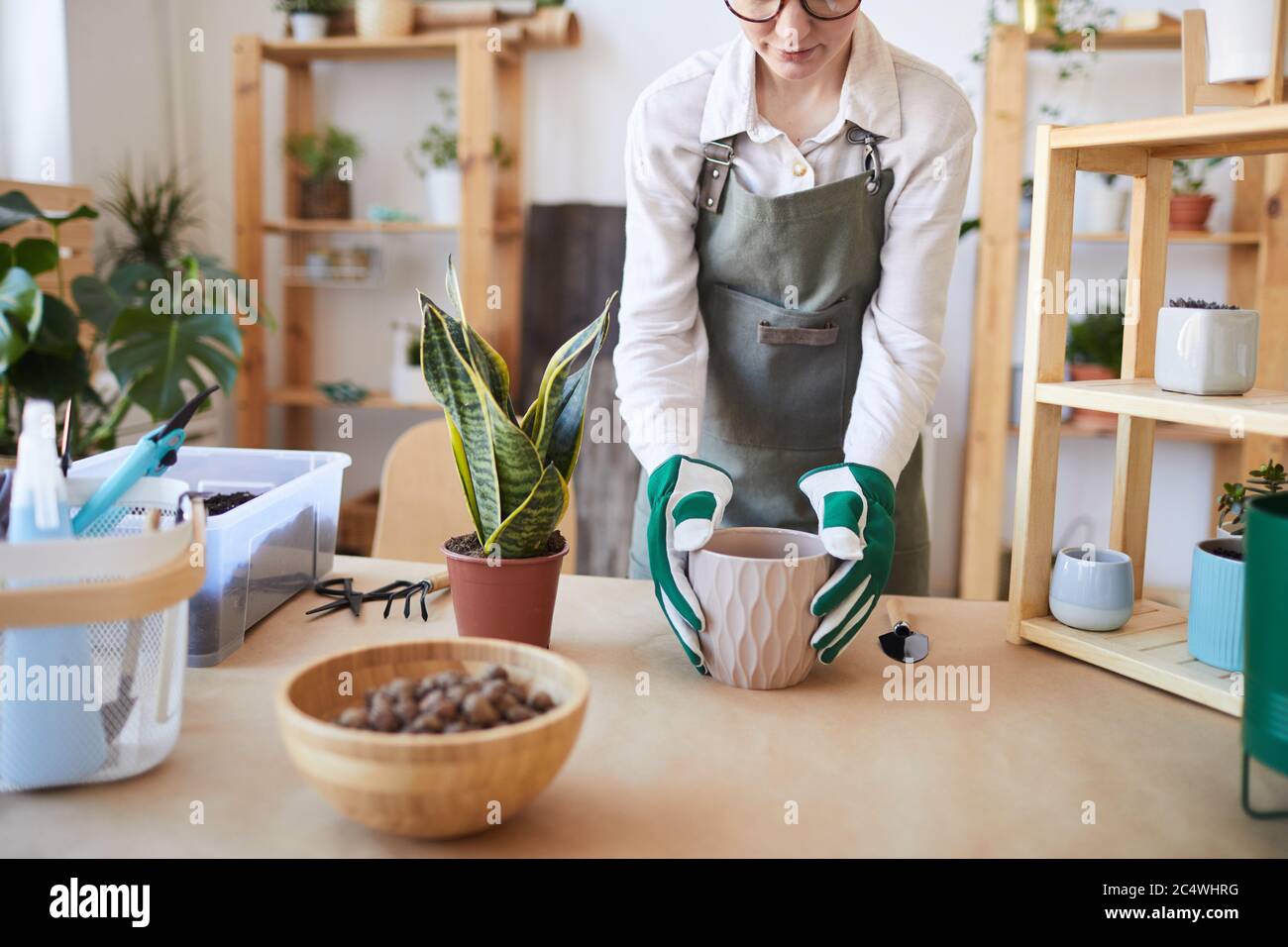 Ritratto corto di giovane donna moderna che vasa piante mentre si prende cura per il giardino domestico, spazio di copia Foto Stock