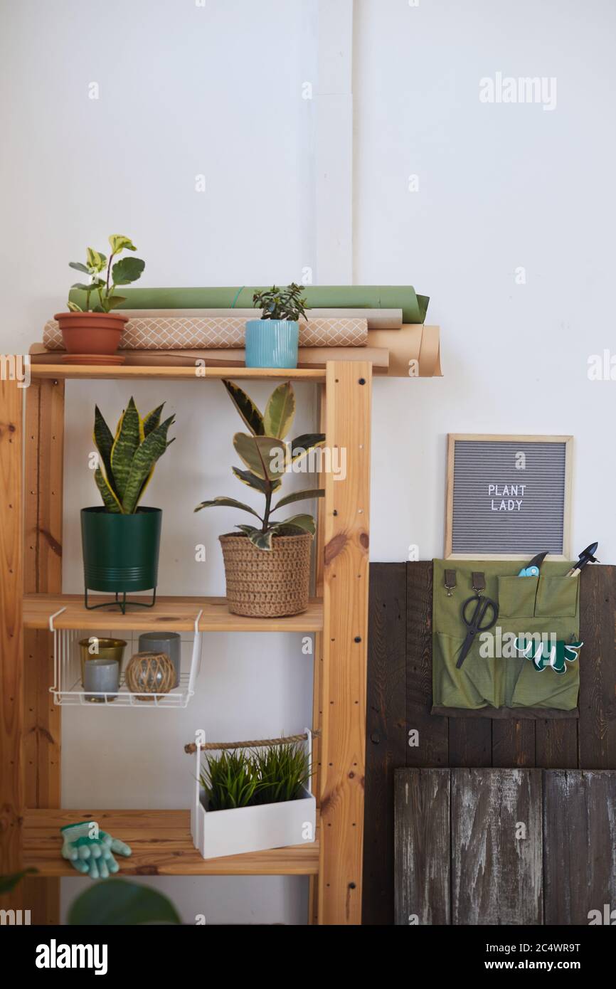 Immagine verticale di sfondo dell'angolo di giardinaggio con attrezzi e ripiani in legno per piante da casa, spazio di copia Foto Stock
