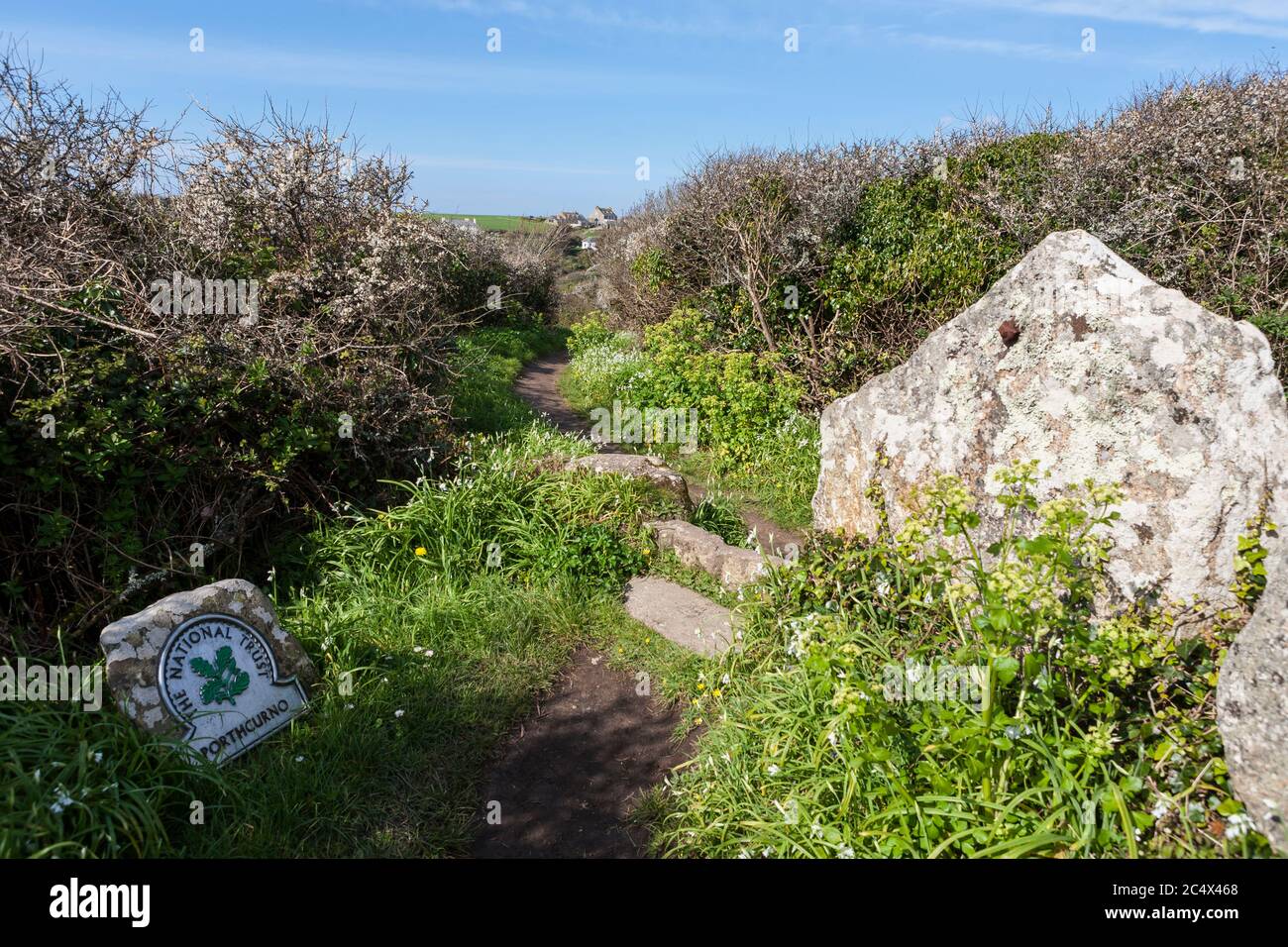 Il percorso della costa sud-occidentale vicino a Porthcurno, Cornovaglia, Inghilterra, Regno Unito Foto Stock