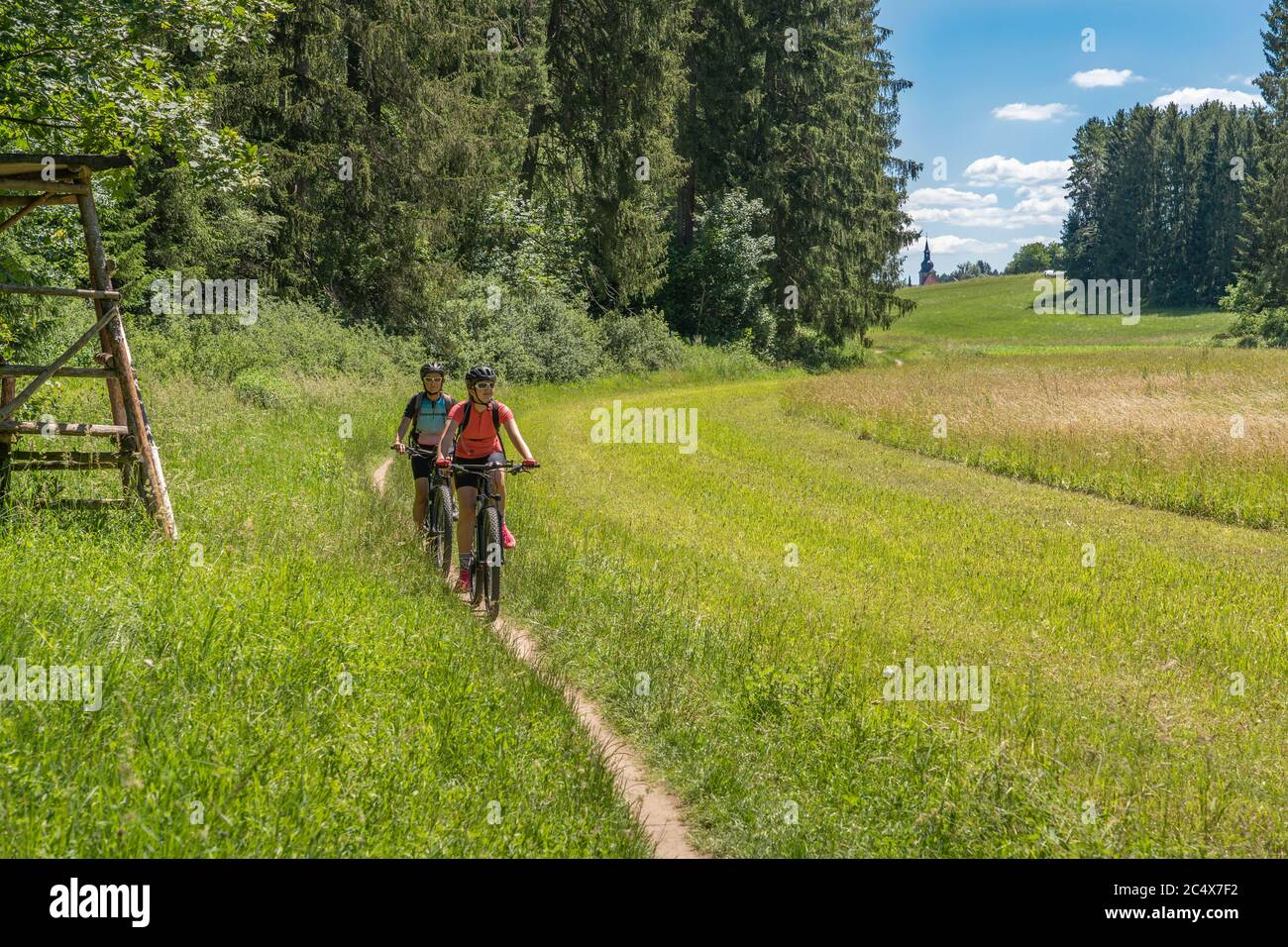 Nonna con mountain bike elettrica e granddaughter senza aiuto elettrico su un sentiero liscio prato nella zona della Svizzera Franconia di Bavari Foto Stock