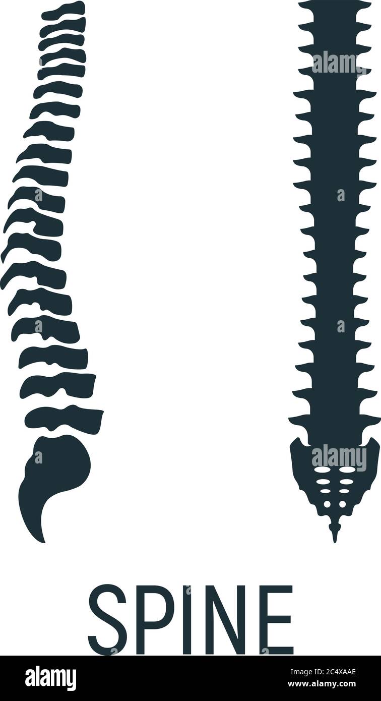 Osso dorsale, icona di concetto radiologico, immagine del corpo umano di origine isolata su illustrazione vettoriale piatta e bianca. Parte scheletrica dell'organismo umano, silhouette Illustrazione Vettoriale