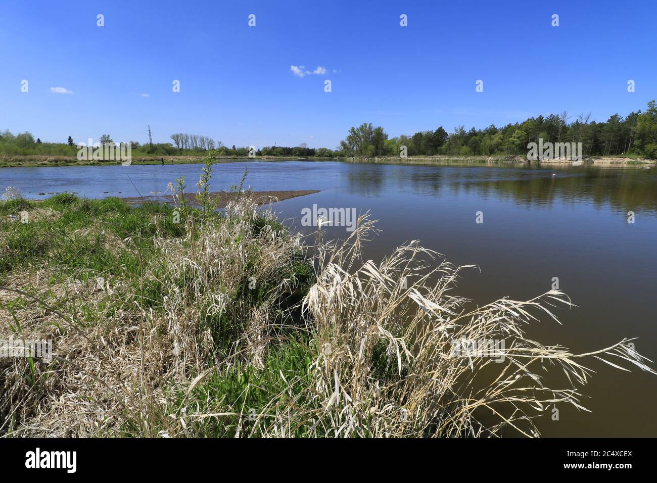 Il fiume Liwiec scorre nel fiume Bug, Mazovia, Polonia Foto Stock