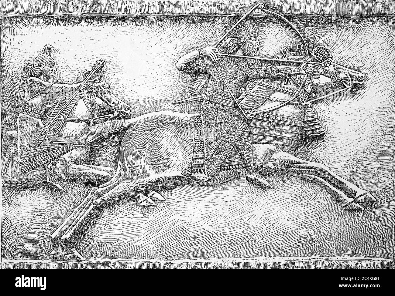 Ashurbanipal caccia, rilievo di Kuyunjik, Assur-bani-apli anche Aschur-bani-apli, Assur-bani-apli, Ashurbanipal biblico fu v ottobre 27, il 669 a 631/627 a.C. v. Chr. Re dell'Impero Assiriano / Assurbanipal auf der Jagd, Relief von Kujundschik, auch Aschur-bani-apli, biblisch Assurbanipal, war vom 27. Ottobre 669 contro Chr. Bis 631/627 contro Chr. Koenig des Assyrischen Reiches, riproduzione storica e digitale migliorata di un originale del 19 ° secolo / digitale Reproduktion einer Originalvollage aus dem 19. Jahrhundert Foto Stock