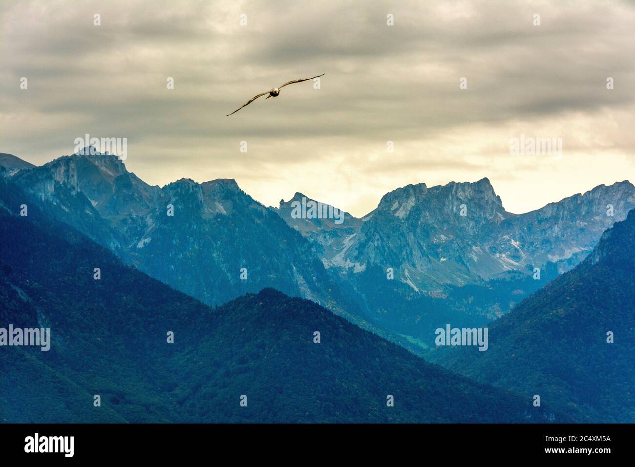 Alpi svizzere, montagne vicino al lago di Ginevra Foto Stock