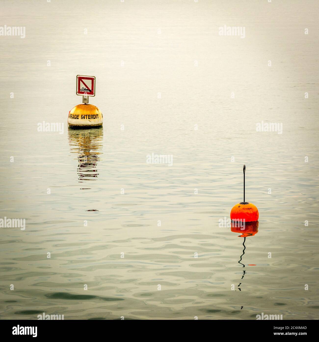 Boa galleggianti sul lago di Ginevra. Svizzera. Europa Foto Stock