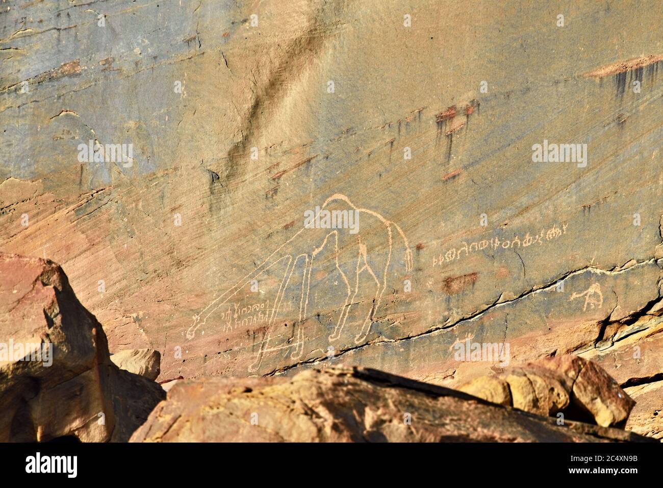 Testo antico e disegni scolpiti nella roccia, deserto di Wadi Rum (Valle della Luna), Giordania Foto Stock