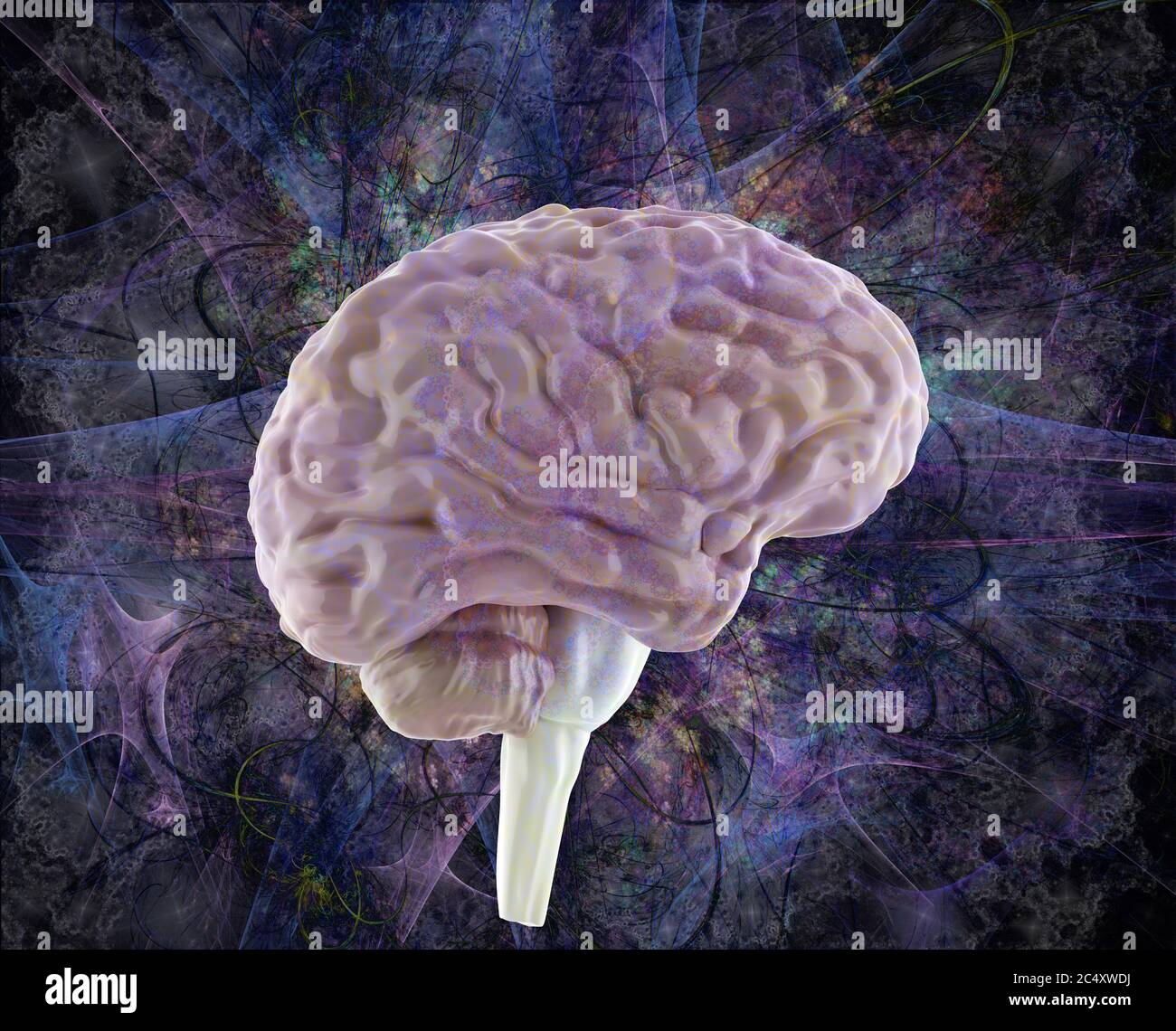 overmind, attività cerebrale, modello cerebrale umano colorato, illustrazione 3d Foto Stock