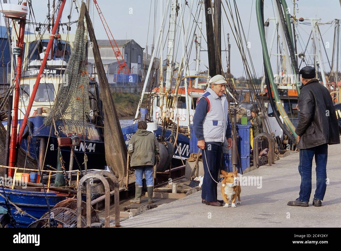 Un uomo che cammina il suo cane lungo la banchina dove barche di gamberi al porto di pesca di King's Lynn. Norfolk. Inghilterra. REGNO UNITO. Europa Foto Stock