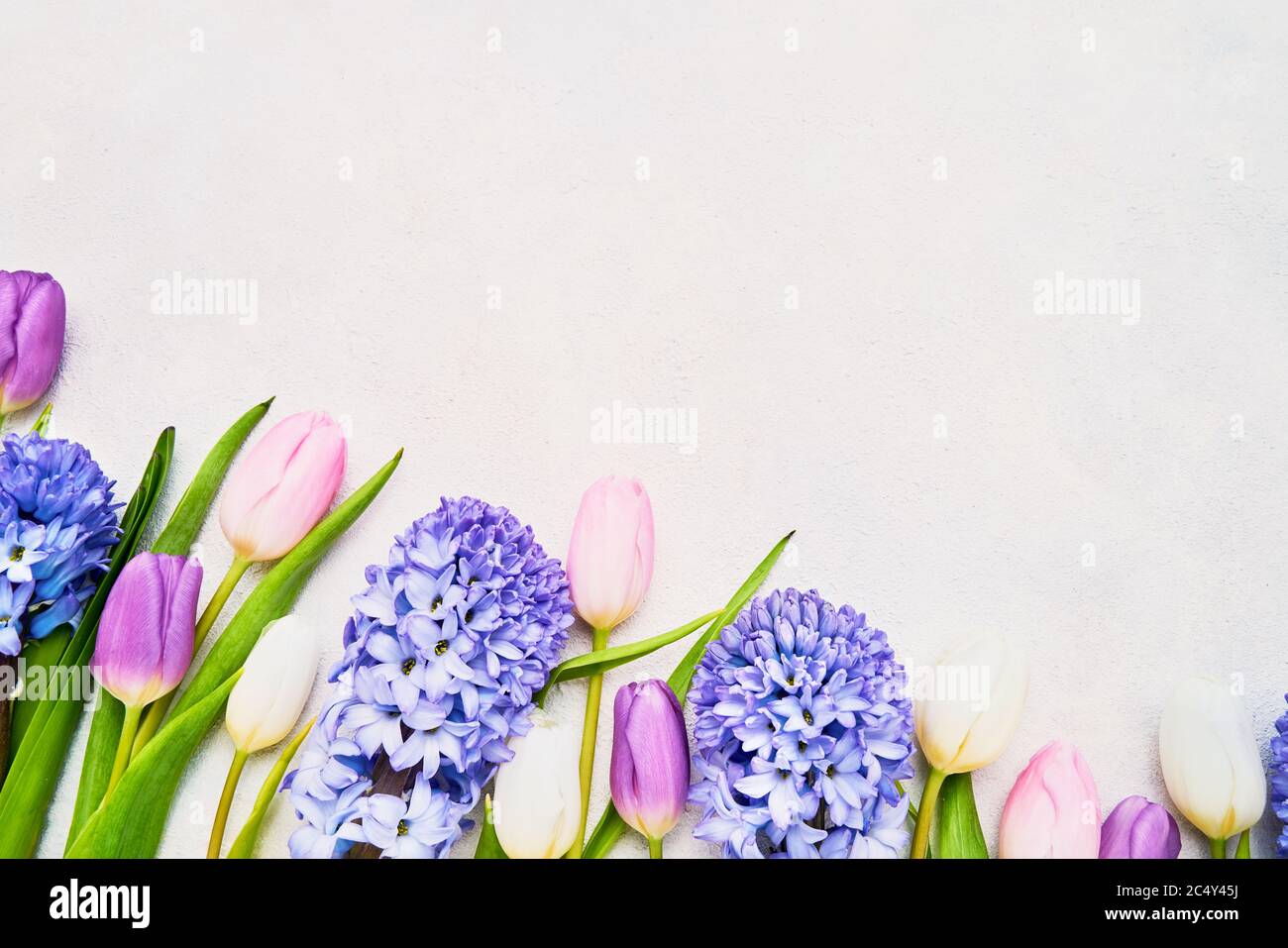Tulipani e giacinti colorati bordano su sfondo chiaro. Festa della mamma, San Valentino, compleanno, Pasqua, celebrazione concetto. Vista dall'alto, spazio di copia per t Foto Stock