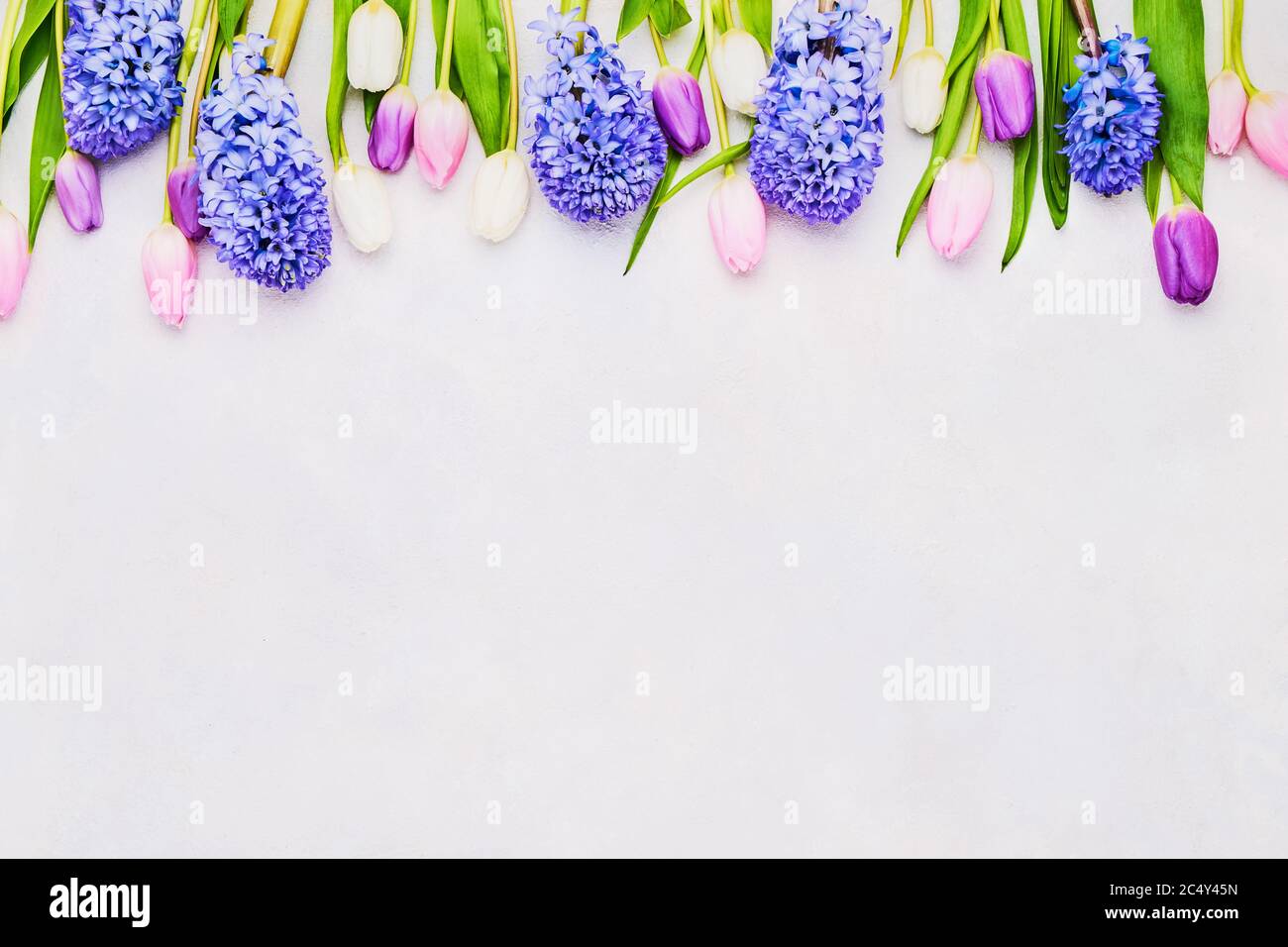 Sfondo floreale. Tulipani e giacinti colorati bordano su sfondo chiaro. Festa della mamma, San Valentino, concetto di festa di compleanno. Vista dall'alto, copia Foto Stock