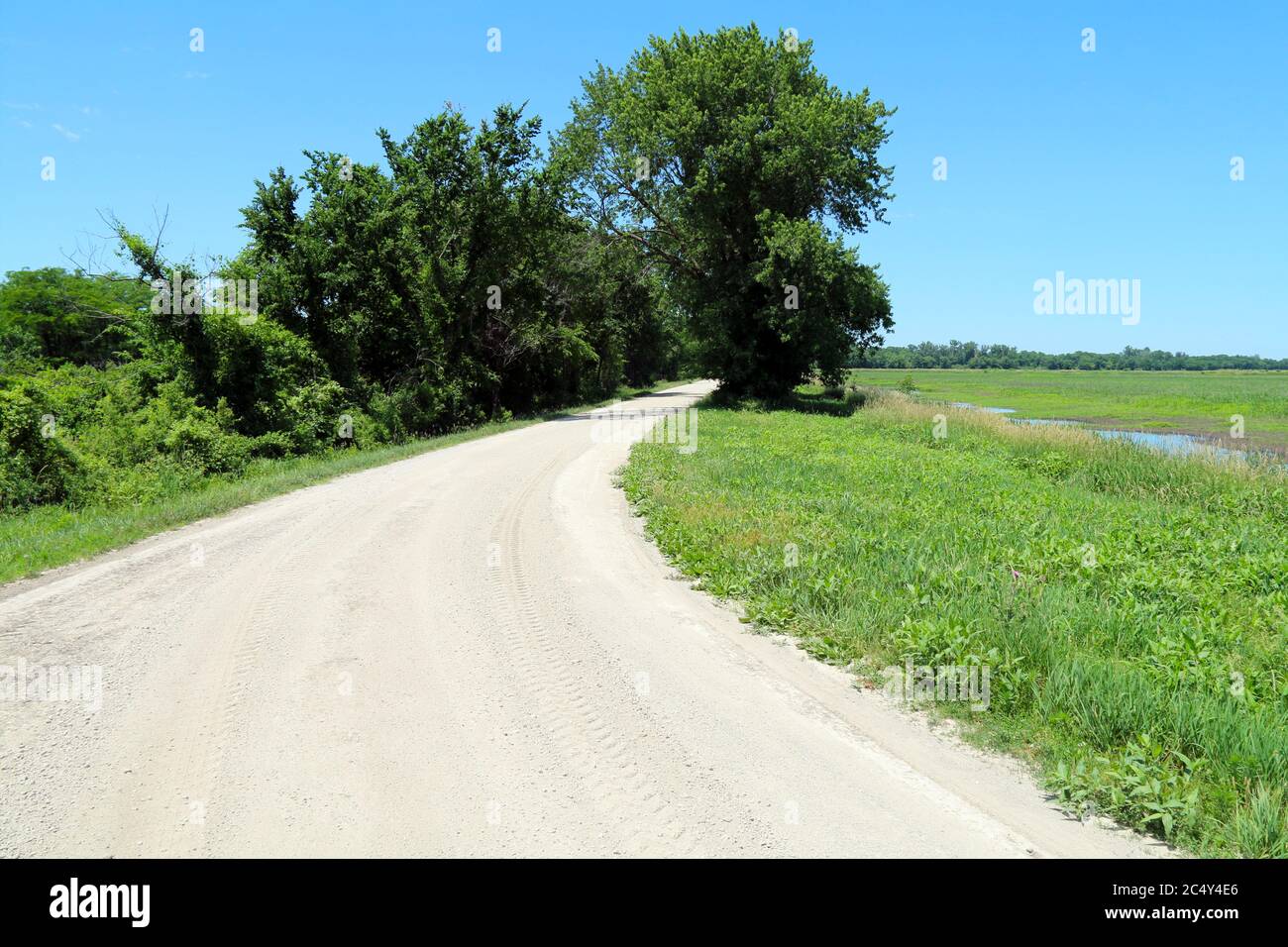 una strada naturale sterrata che conduce in una bella campagna vicino a un prato stagno e glade Foto Stock