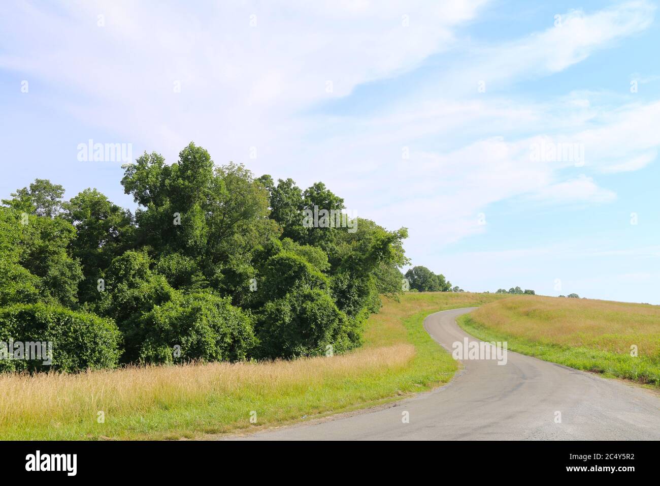 una strada tortuosa attraverso una collina di campagna in una giornata di sole con alberi Foto Stock
