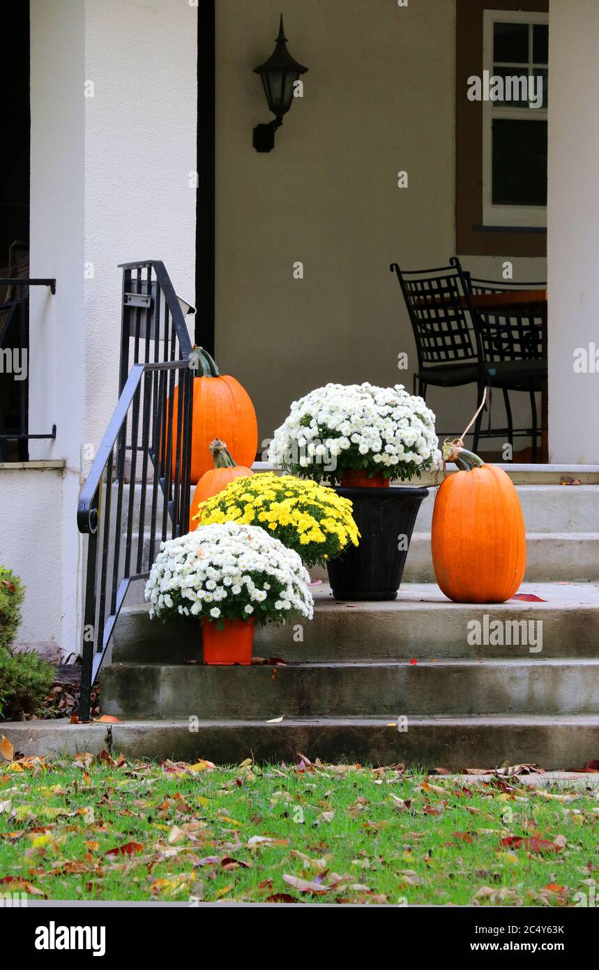 Scala di ingresso principale e portico della casa elegante decorata per la stagione delle vacanze autunnali. Concetto di Halloween. Autunno sfondo. Foto Stock