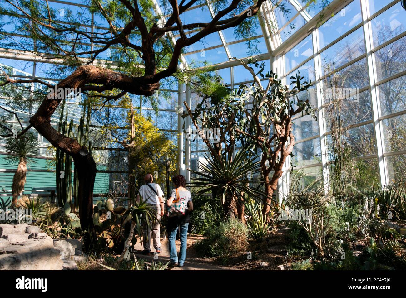 I visitatori scoprono la flora in una serra del deserto di Brooklyn. Foto Stock